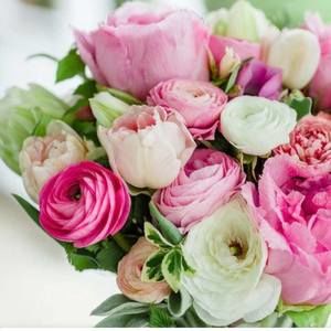 Meet your Posher, Marlyn